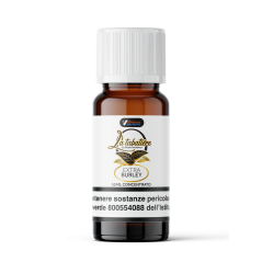 EXTRA BURLEY CONCENTRATO