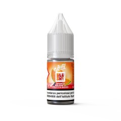 SLUSHY MELONE E FRUTTI DI BOSCO 10 ML CONC